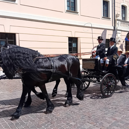 Tytuł zastępczy