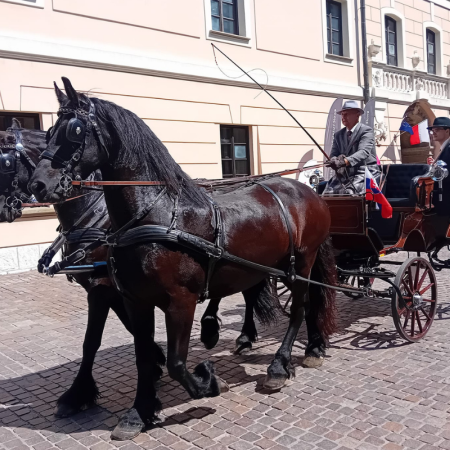 Tytuł zastępczy