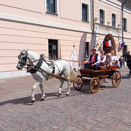 Tytuł zastępczy