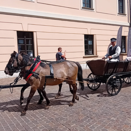 Tytuł zastępczy