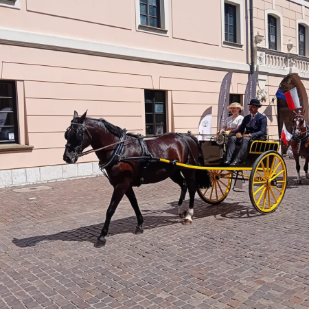 Tytuł zastępczy