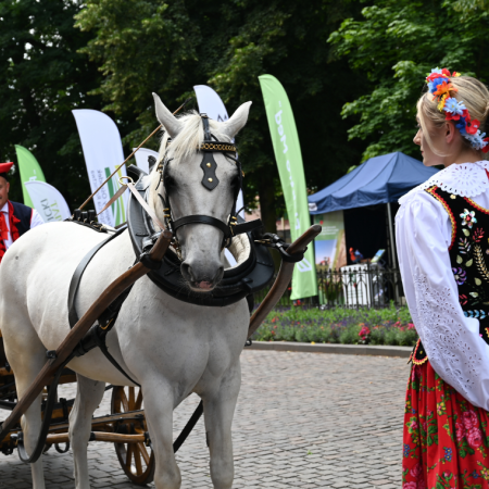 Tytuł zastępczy