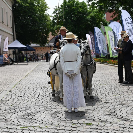 Tytuł zastępczy