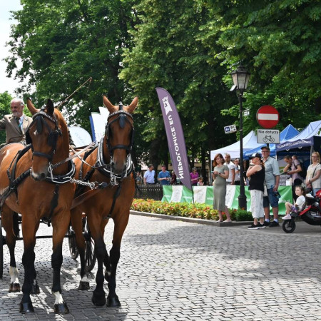 Tytuł zastępczy