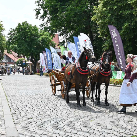 Tytuł zastępczy