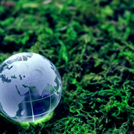 Razem dla środowiska: kolejna edycja kampanii „Włącz ECO Wyobraźnię”