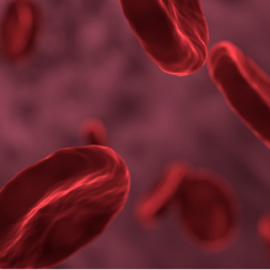 World Blood Cancer Day