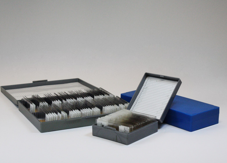 pudełko plastikowe do archiwizacji preparatów mikroskopowych na 25 szkiełek, 50 szkiełek, 100 szkiełek