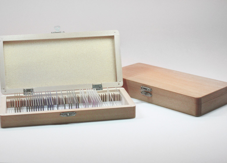 pudełko drewniane do transportu i archiwizacji 50 preparatów mikroskopowych lub szkiełek mikroskopowych